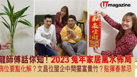 2023化病位|2023兔年家居風水佈局 龍師傅話你知！ 病位要點化。